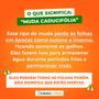 Imagem de Muda de Pêssego Amarelo Solta Caroço Enxertado  Prunus Persica.