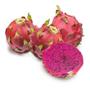 Imagem de Muda De Pitaya Vermelha Da Polpa Vermelha - Produz Rápido