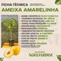 Imagem de Muda Frutífera de Ameixa Amarelinha Enxertada