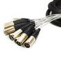 Imagem de Multicabos Com Conectores Xlr 12 Vias - Amphenol 10M
