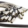 Imagem de Multicabos Conectores Xlr 24 Vias Santo Angelo - 10 Mt