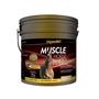 Imagem de Muscle Horse Turbo 6 kg BOX POUCH - Organnact