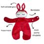 Imagem de Naninha Com Porta Chupeta Soft Antialérgico Extra Macio Plush