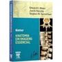 Imagem de Netter anatomia em imagens essencial - ELSEVIER ED