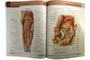 Imagem de Netter - Atlas Anatomia Humana  - 5ª edição - 02 Vol - Elsevier