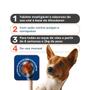 Nexgard Antipulgas E Carrapatos Cães 4 A 10kg 1 Comprimido - Boehringer Imagem de Nexgard Antipulgas E Carrapatos Cães 4 A 10kg 1 Comprimido