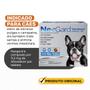 Nexgard Antipulgas E Carrapatos Cães 4 A 10kg 1 Comprimido - Boehringer Imagem de Nexgard Antipulgas E Carrapatos Cães 4 A 10kg 1 Comprimido