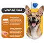 Nexgard Antipulgas E Carrapatos Cães 4 A 10kg 1 Comprimido - Boehringer Imagem de Nexgard Antipulgas E Carrapatos Cães 4 A 10kg 1 Comprimido