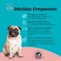 Imagem de NexGard Antipulgas e Carrapatos para Cães de 10,1 a 25kg