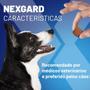 Imagem de NexGard Cães de 2 Á 4KG 2 Unidades de 1 Tablete Antipulgas e Carrapatos