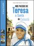 Imagem de Nos Passos De Teresa