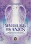 Imagem de Numerologia dos Anjos: Prática Divina Para Elevar Sua Vibração com Os Arcanjos Sortido - MADRAS EDITORA