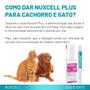 Nuxcell Plus Suplemento Vitamínico Para Cães e Gatos BioSyn Imagem de Nuxcell Plus Suplemento Vitamínico Para Cães e Gatos BioSyn