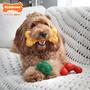 Imagem de Nylabone Power Chew - Pacote de Brinquedos para Cães com Sabores de Lagosta, Queijo e Brócolis