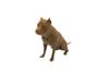 Imagem de Objeto Decorativo Pitbull Low Poly Bronze Bugingaria