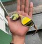Imagem de Óculos de Sol Doble X 24K Juliet Dourada De Ferro Pinada