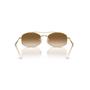 Imagem de Óculos de Sol Ray-Ban RB3719