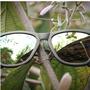 Imagem de Óculos de Sol YOPP Polarizado Uv400 Camaleão Cobre