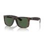 Imagem de Oculos solar ray-ban zilo rb4165 865/9a55