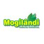 Imagem de Odorizante de Ambiente Mogilândi Óleo de Eucalipto 140ml Kit 2 unidades