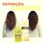 Imagem de Óleo de Argan Alquimia Proteção Térmica, Anti-Frizz, Correção das Pontas Duplas Frasco 60ml