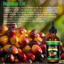 Imagem de Óleo de Batana CUHWXCU para Crescimento Capilar - Kit com 2 Unidades (60ml cada) - 100% Natural