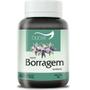 Imagem de Óleo de Borragem 60cps 500mg Duom