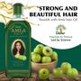 Imagem de Óleo de cabelo Dabur Amla Healthy Hair Hidratado Couro cabeludo 200mL