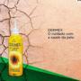 Imagem de Óleo De Girassol Dermaex Age Kit 12 unidades Escaras Feridas Assaduras Cicatrizante Pele 100ml Nutriex