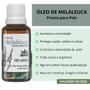 Imagem de Oleo de Melaleuca para Acne Pele Oleosa Unha Caspa WNF 30ml