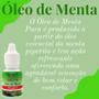 Imagem de Óleo de Menta San Jully Menta Pura Frasco 10ml Kit 3 Unidades