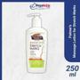 Imagem de Óleo de Prevenção de Estrias Mustela Maternité 105mlPalmers Cocoa Butter Formula Loção de Massagem Para Estrias 250Ml, P