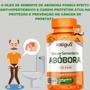 Imagem de Oleo De Semente Abobora + Vitaminas E e D3 500MG 60CAPS