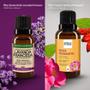 Imagem de Óleo Essen. Lavanda Francesa 20Ml + Vegetal R. Mosqueta 30Ml