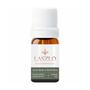 Imagem de Óleo Essencial Alecrim Qt Cânfora 10ml Laszlo