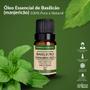 Imagem de Óleo Essencial Basilicão (Manjericão) 10ml - Puro e Natural