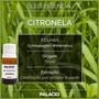 Imagem de Óleo Essencial de Citronela 10 ml 100% Puro