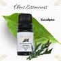 Imagem de Óleo Essencial De Eucalipto Aromá 10Ml - Vias Respiratórias