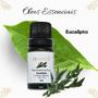 Imagem de Óleo Essencial de Eucalipto Aromá 10ml - Vias Respiratórias