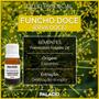 Imagem de Óleo Essencial de Funcho Doce (Erva Doce) 10 ml 100% Puro