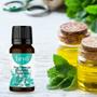 Imagem de Óleo essencial de hortelã pimenta 10ml - bryo