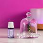 Imagem de Óleo Essencial de Lavanda 10ml KWR Aromaterapia