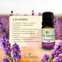 Imagem de Óleo Essencial de Lavanda Aroma Aromatizador Difusor 100% Puro Natural Premium