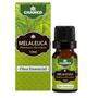 Imagem de Óleo Essencial de Melaleuca 10ml  Chamel