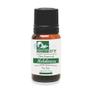 Imagem de Óleo Essencial de Melaleuca - 10ml - Dermare