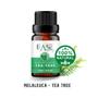 Imagem de Óleo essencial de Melaleuca Fungos e Micoses 10ml Ease Aromas 100% puro e natural