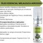 Imagem de Óleo Essencial de Melaleuca Puro 10ml em Aerossol - Phytoterápica -