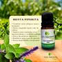 Imagem de Óleo Essencial de Menta Piperita Aroma Aromatizador Difusor 100% Puro Natural Premium
