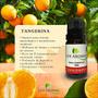 Imagem de Óleo Essencial de Tangerina Aromatizador Difusor 100% Puro Natural Premium