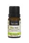 Imagem de Oleo Essencial De Tea Tree (melaleuca) - 10ml - Via Aroma